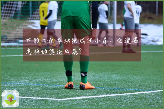 许雅均的举动换成汪小菲，会遭遇怎样的舆论风暴？